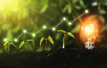 Conseil organisation Auch Fleurance